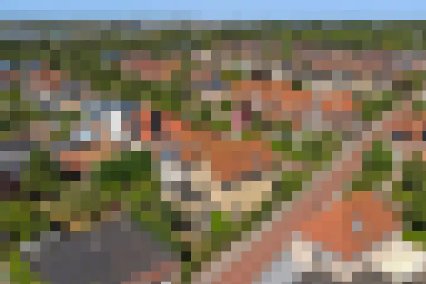 Glenn Millerlaan 16 Goes thumbnail 36