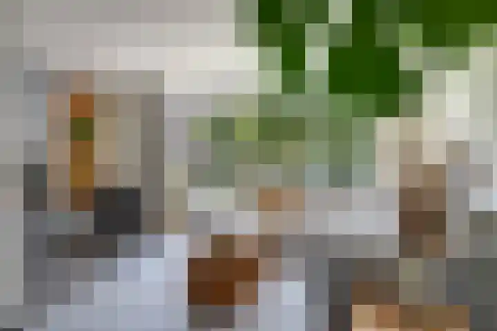 Glenn Millerlaan 21 Goes thumbnail 10