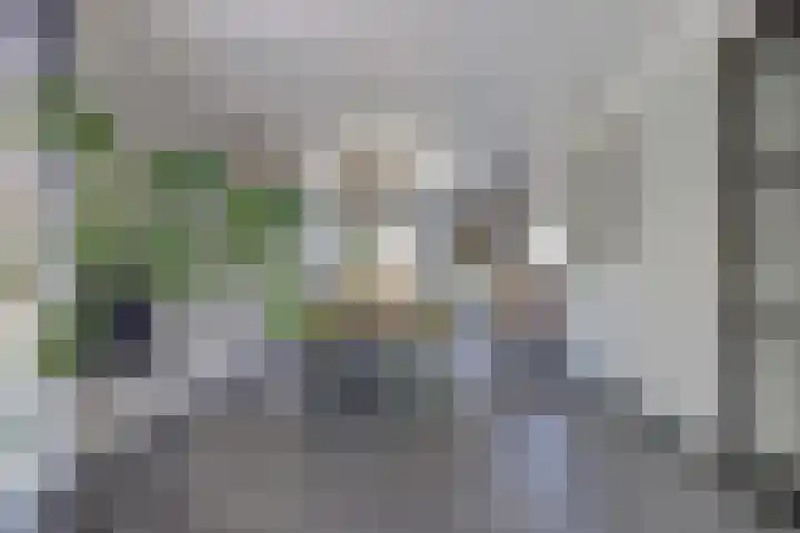 Glenn Millerlaan 21 Goes thumbnail 11