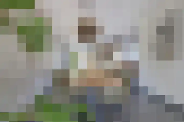 Glenn Millerlaan 21 Goes thumbnail 12