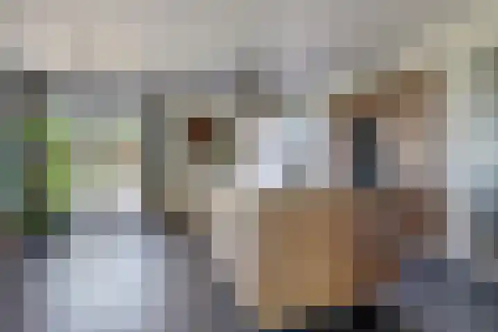 Glenn Millerlaan 21 Goes thumbnail 15