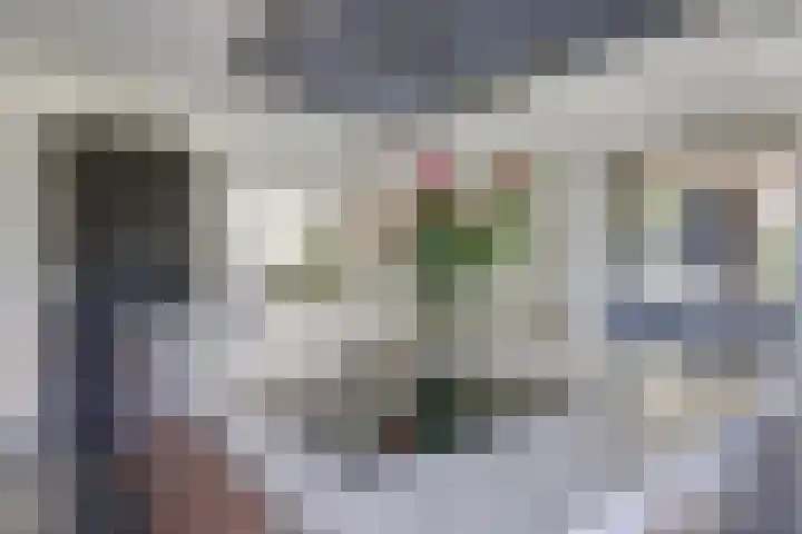 Glenn Millerlaan 21 Goes thumbnail 17