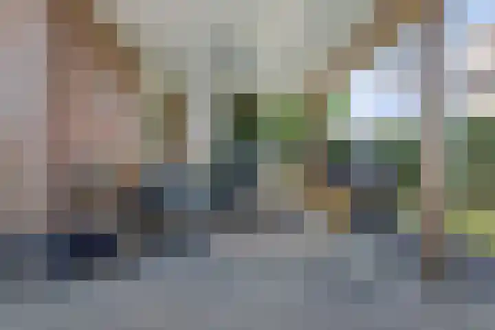 Glenn Millerlaan 21 Goes thumbnail 33