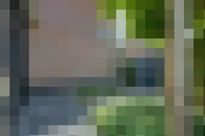 Glenn Millerlaan 21 Goes thumbnail 36