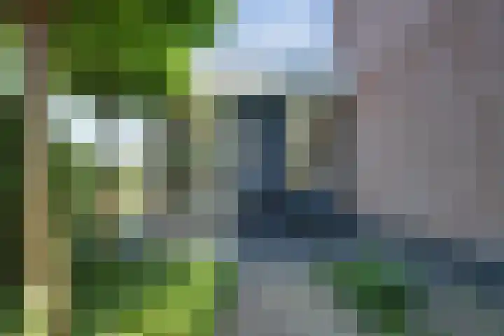 Glenn Millerlaan 21 Goes thumbnail 37