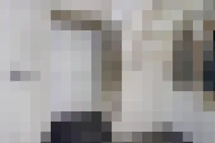 Glenn Millerlaan 21 Goes thumbnail 5