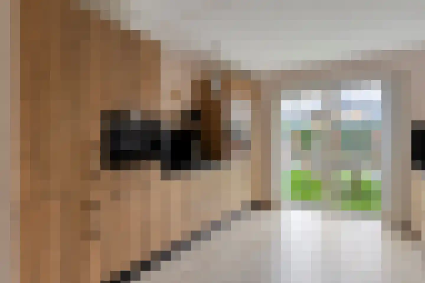 Glenn Millerlaan 35 Goes thumbnail 15