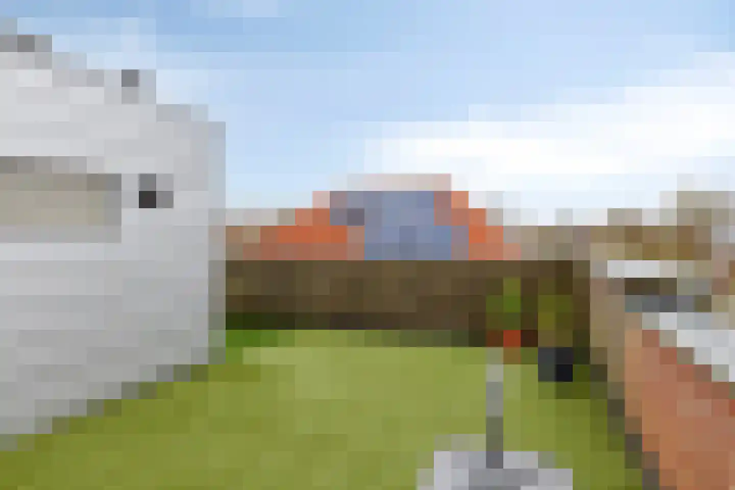 Glenn Millerlaan 35 Goes thumbnail 41