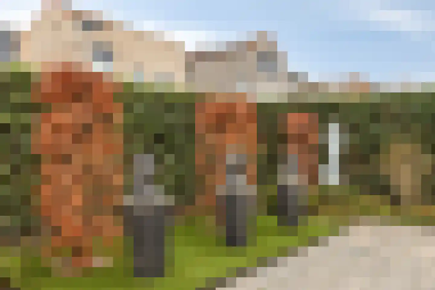 Glenn Millerlaan 35 Goes thumbnail 45