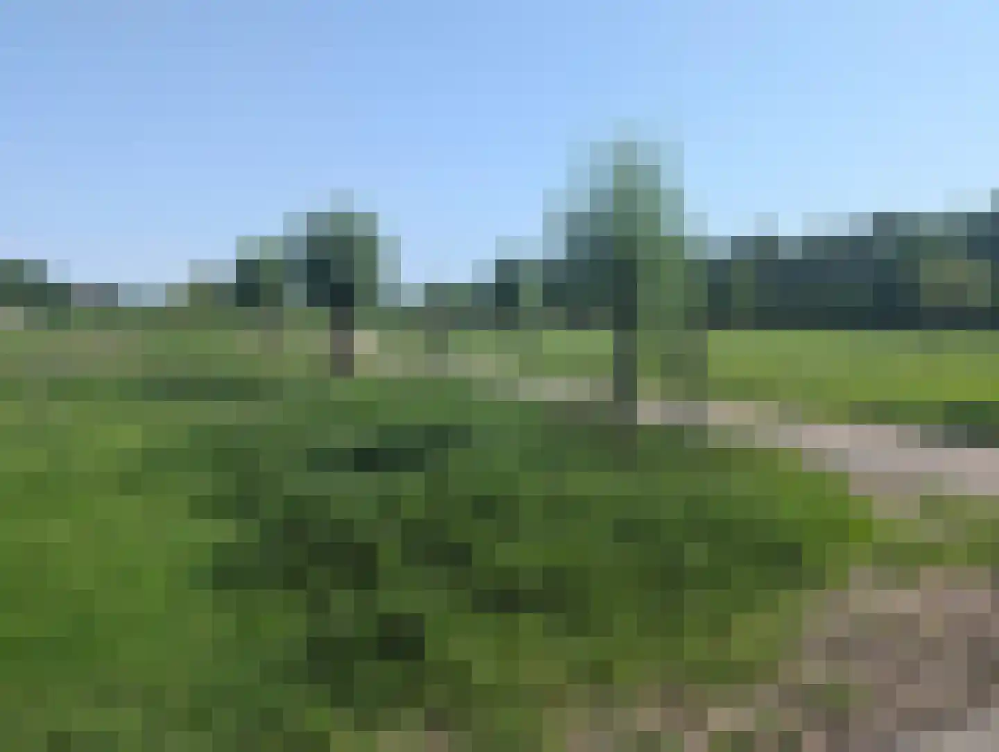 Glenn Millerlaan 35 Goes thumbnail 51