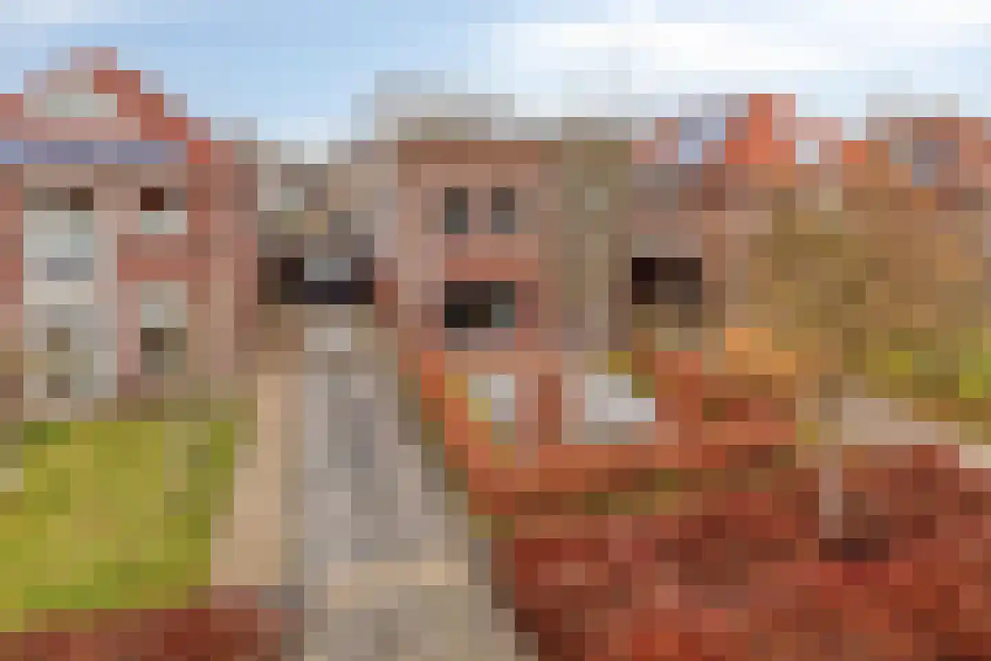 Glenn Millerlaan 35 Goes thumbnail 57