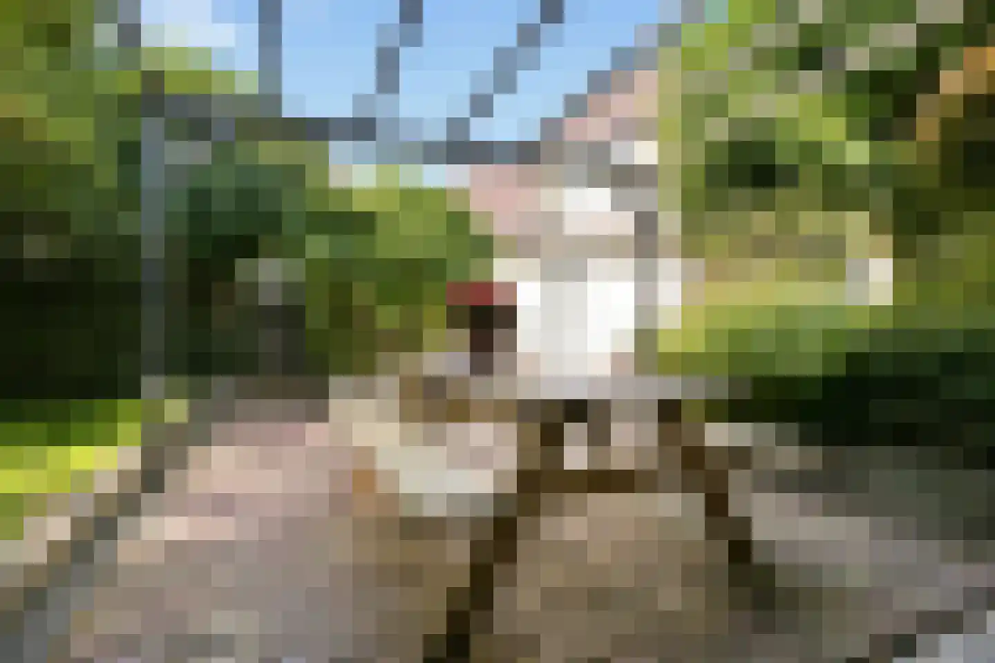 Glenn Millerlaan 46 Beverwijk thumbnail 46