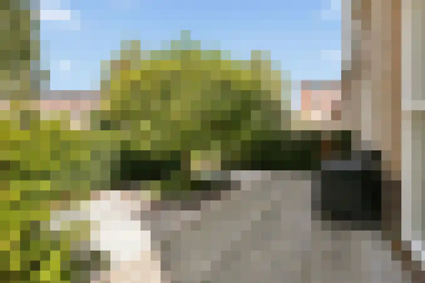 Glenn Millerlaan 46 Beverwijk thumbnail 5