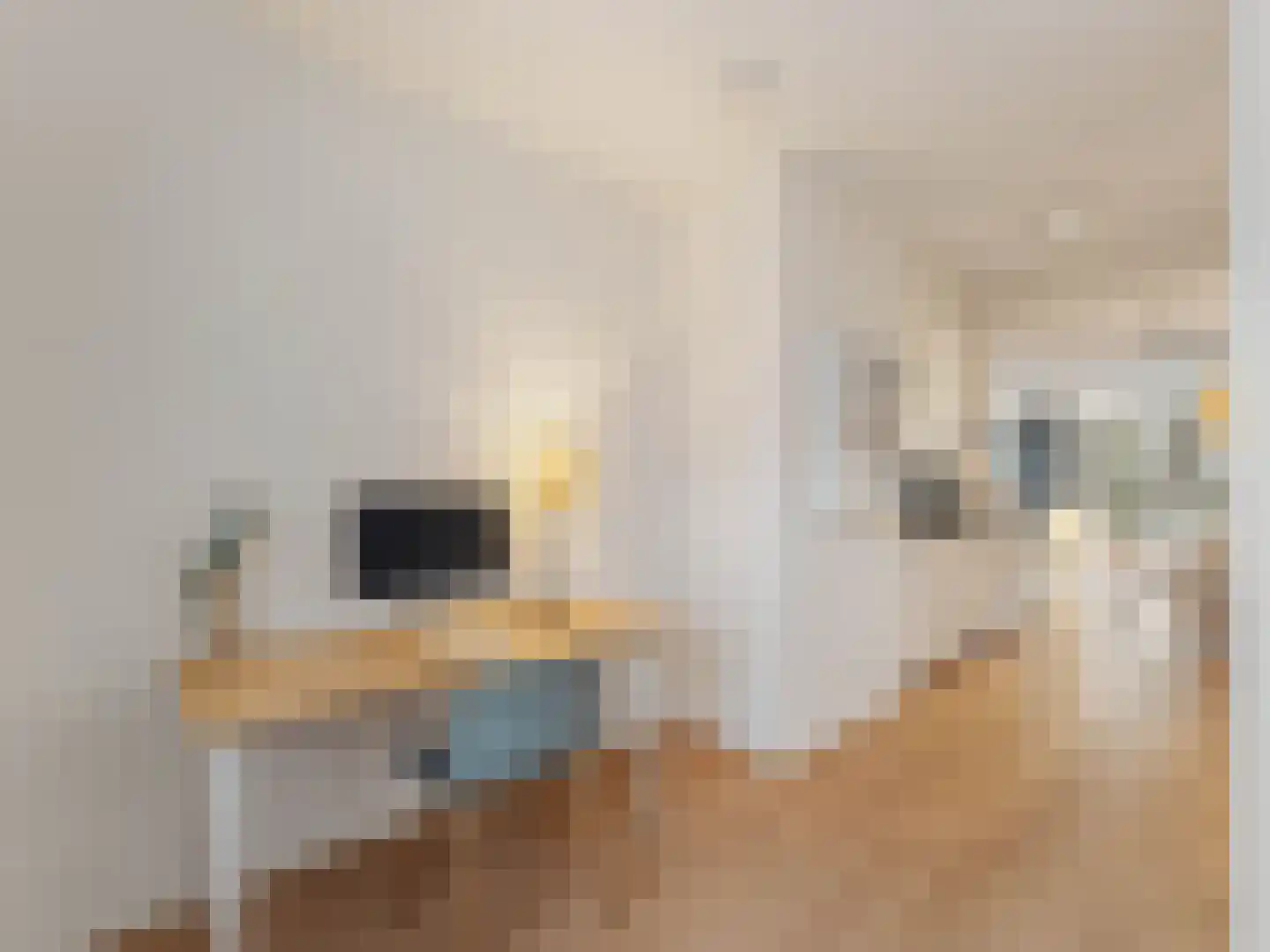 Glenn Millerpad 12 Utrecht thumbnail 16