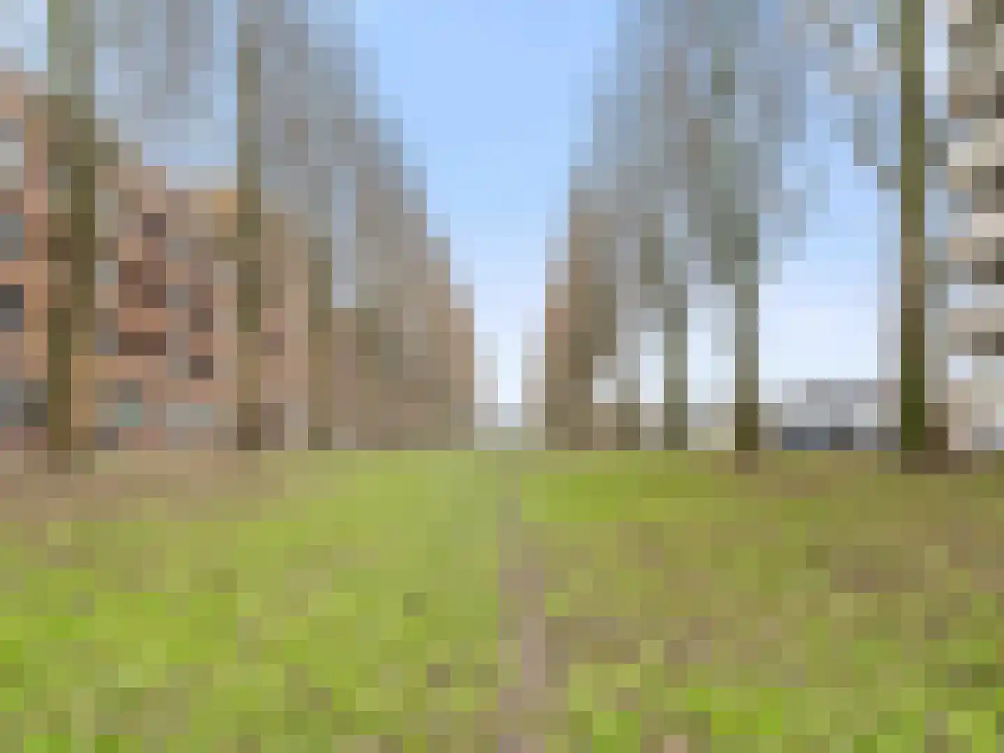 Glenn Millerpad 12 Utrecht thumbnail 37