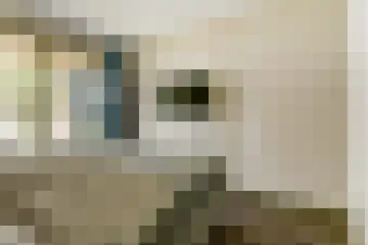 Glenn Millerpad 13 Utrecht thumbnail 32