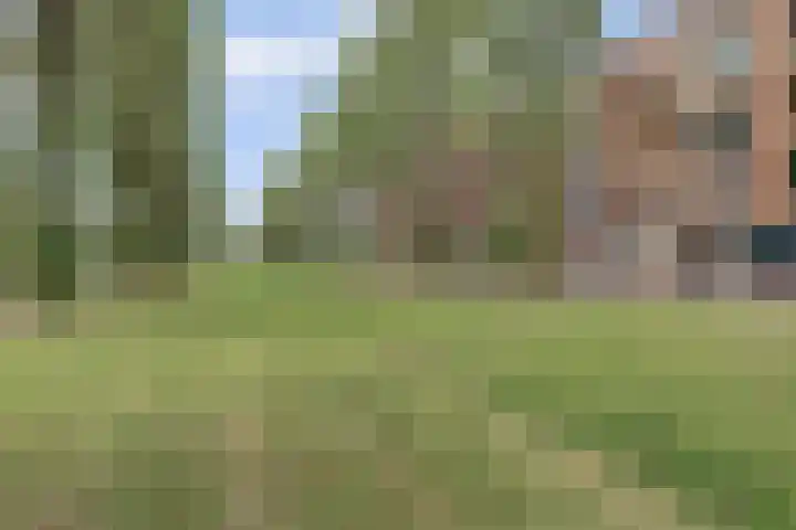Glenn Millerpad 13 Utrecht thumbnail 48