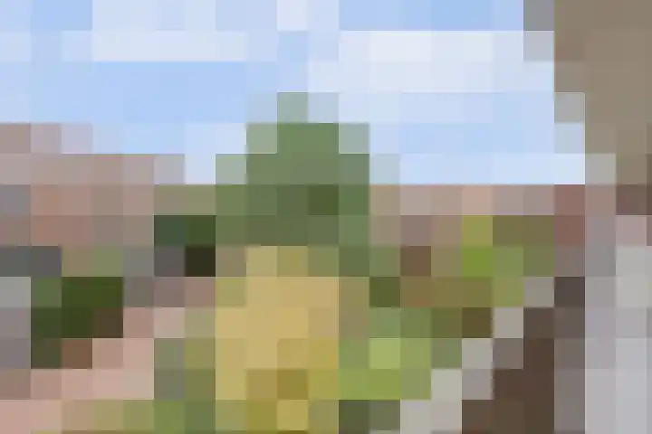 Glenn Millerpad 13 Utrecht thumbnail 9