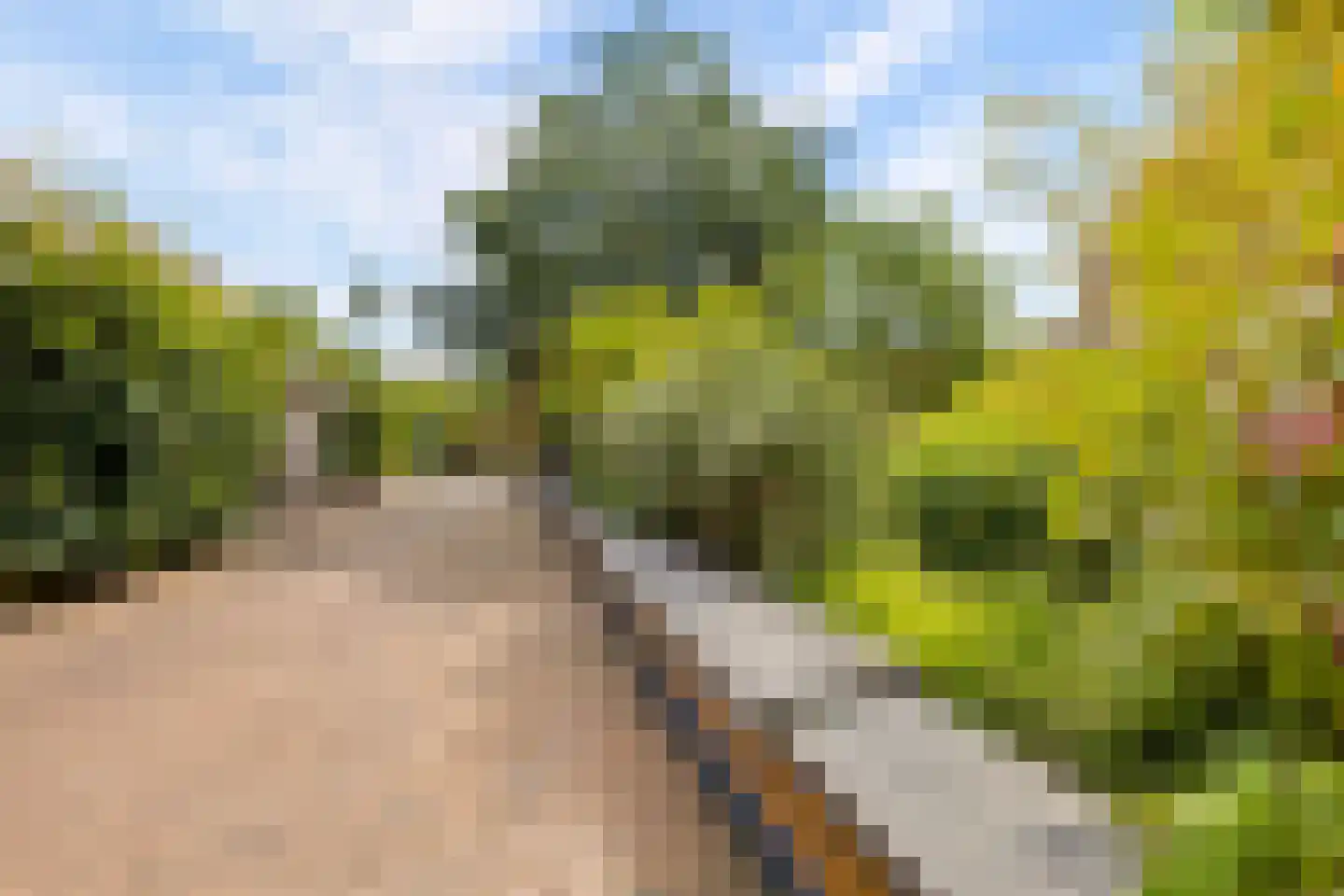 Glenn Millerpad 32 Utrecht thumbnail 35