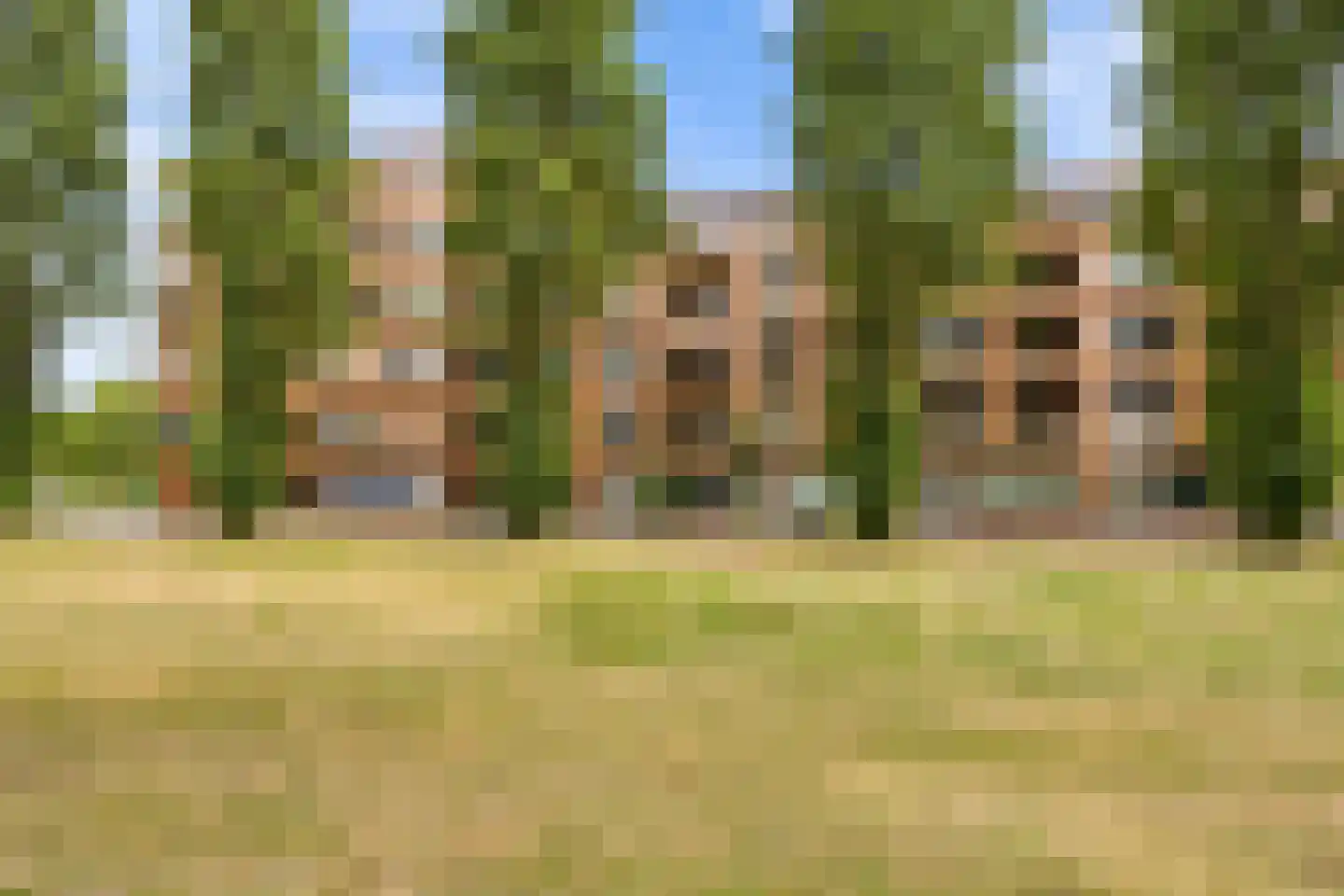 Glenn Millerpad 32 Utrecht thumbnail 39