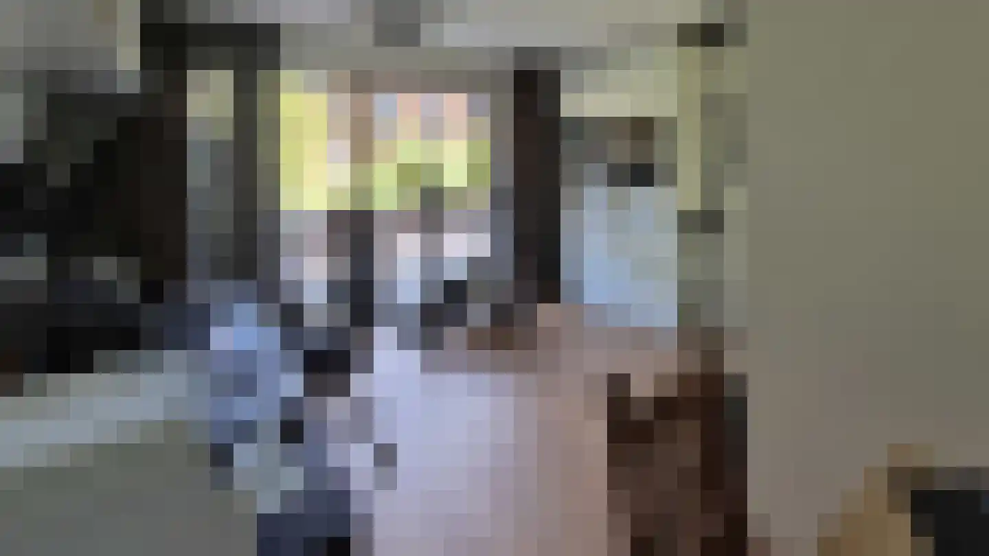 Glenn Millerpad 36 Utrecht thumbnail 39