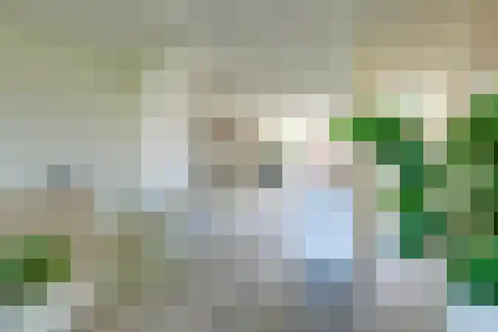 Glenn Millerpad 37 Utrecht thumbnail 12