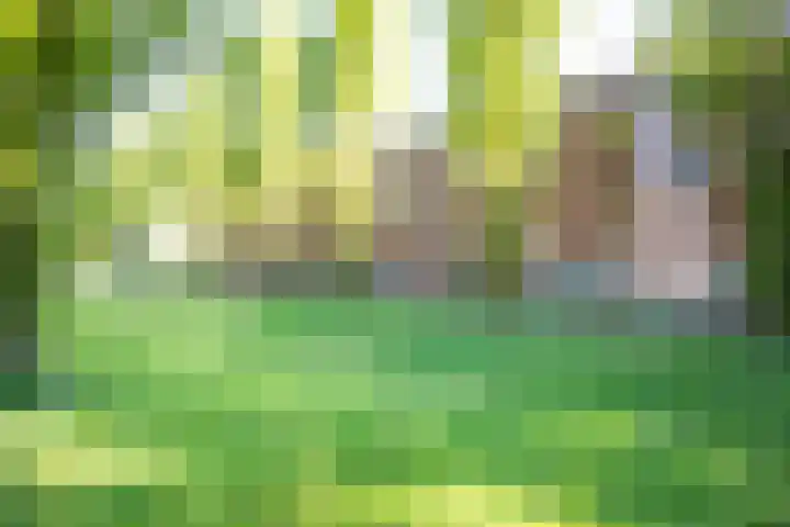 Glenn Millerpad 37 Utrecht thumbnail 29