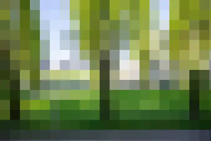 Glenn Millerpad 37 Utrecht thumbnail 32