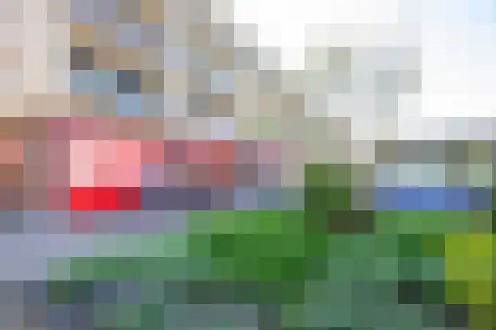 Glenn Millerpad 37 Utrecht thumbnail 34