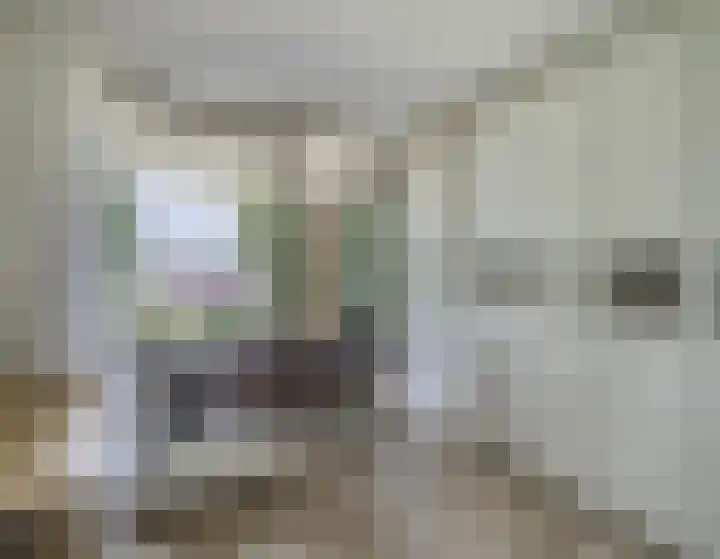 Glenn Millerpad 45 Utrecht thumbnail 33