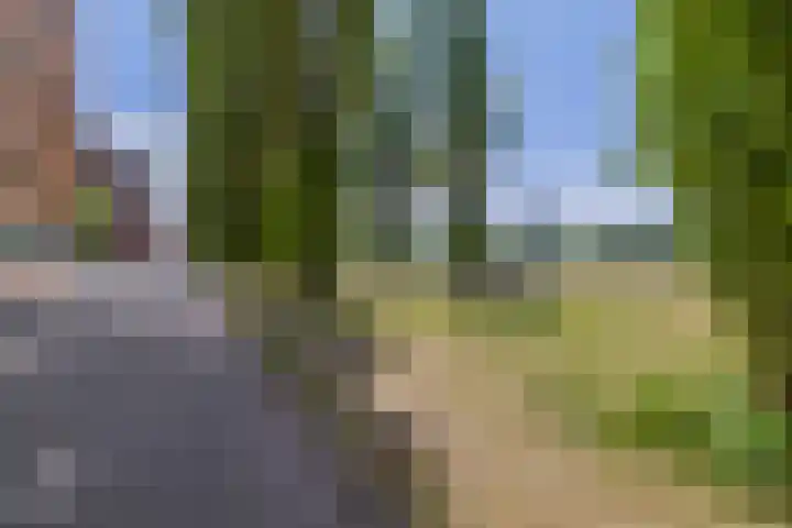 Glenn Millerpad 45 Utrecht thumbnail 38