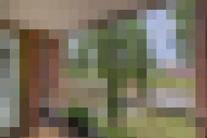 Glenn Millerpad 45 Utrecht thumbnail 4