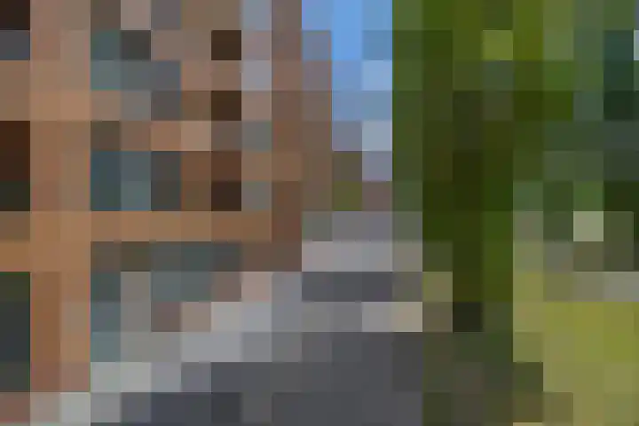 Glenn Millerpad 45 Utrecht thumbnail 7