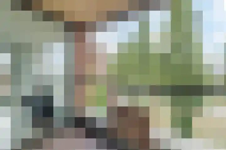 Glenn Millerpad 51 Utrecht thumbnail 41