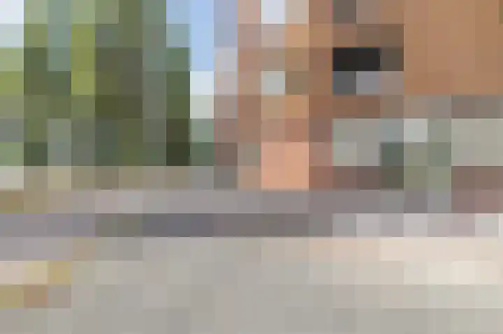 Glenn Millerpad 51 Utrecht thumbnail 5
