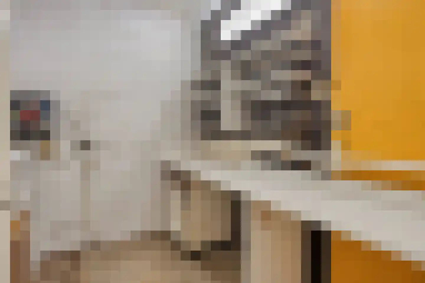 Glenn Millerrode 17 Zoetermeer thumbnail 21