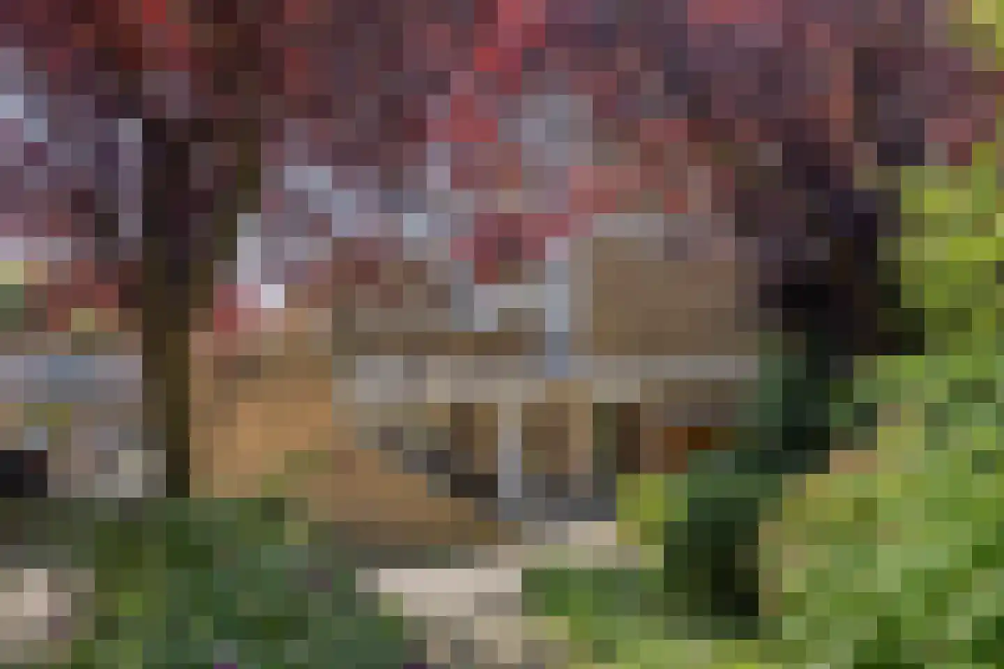 Glenn Millerrode 17 Zoetermeer thumbnail 24