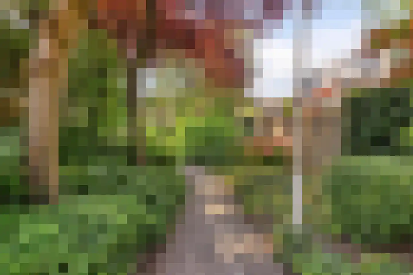 Glenn Millerrode 17 Zoetermeer thumbnail 25