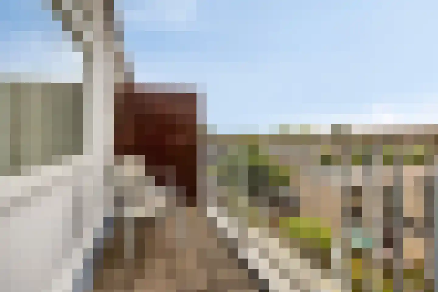 Glenn Millerrode 3 Zoetermeer thumbnail 31