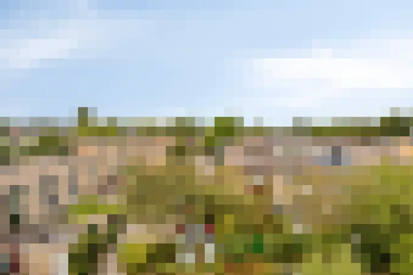 Glenn Millerrode 3 Zoetermeer thumbnail 32