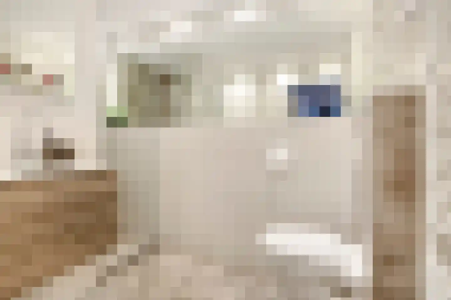 Glenn Millerrode 3 Zoetermeer thumbnail 5
