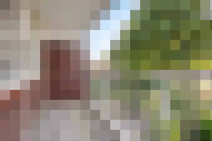 Glenn Millerrode 30 Zoetermeer thumbnail 14