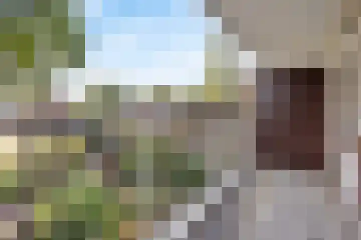Glenn Millerrode 30 Zoetermeer thumbnail 15