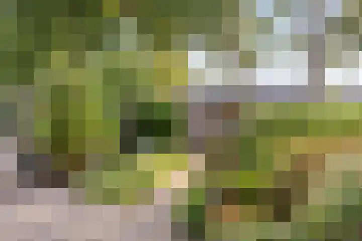 Glenn Millerrode 30 Zoetermeer thumbnail 23