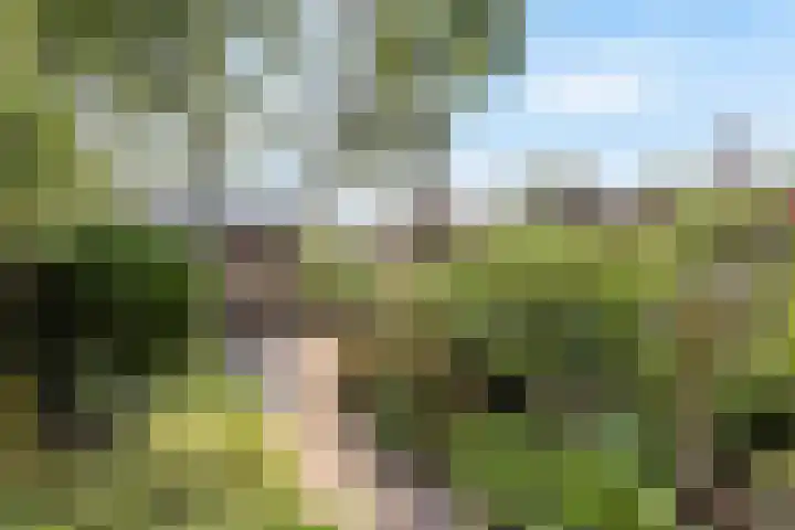 Glenn Millerrode 30 Zoetermeer thumbnail 24