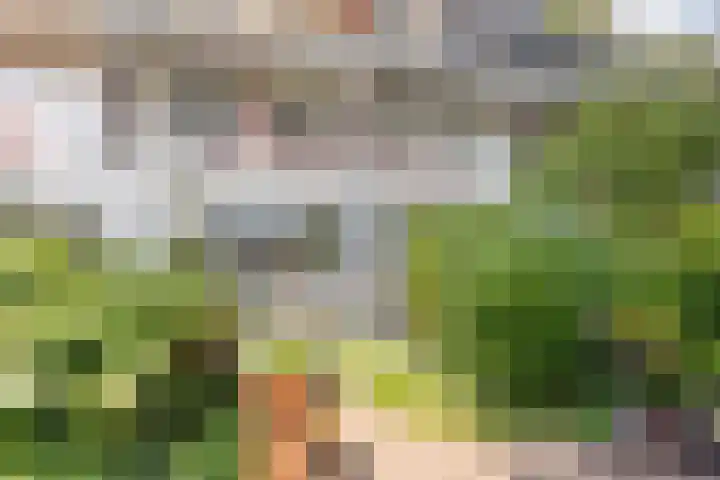 Glenn Millerrode 30 Zoetermeer thumbnail 26
