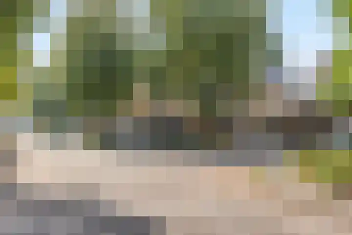 Glenn Millerrode 30 Zoetermeer thumbnail 31