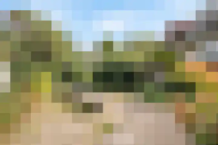 Glenn Millerrode 30 Zoetermeer thumbnail 32