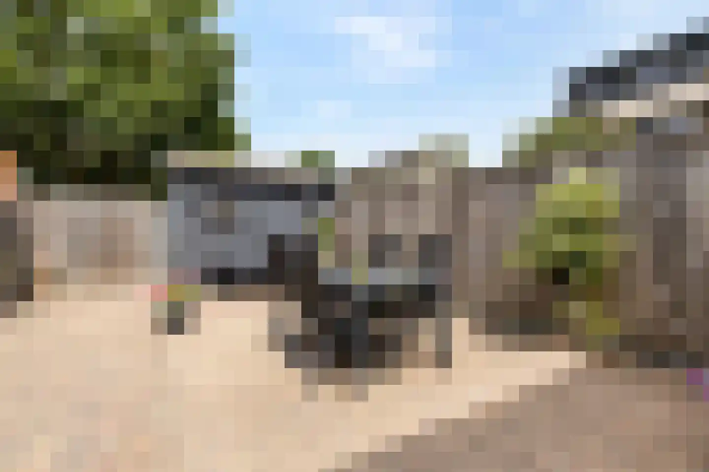 Glenn Millerstraat 104 Arnhem thumbnail 31