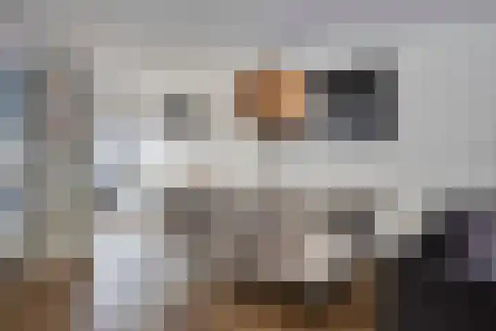 Glenn Millerstraat 11 Zaandijk thumbnail 24